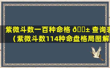 紫微斗数一百种命格 🐱 查询表（紫微斗数114种命盘格局图解）